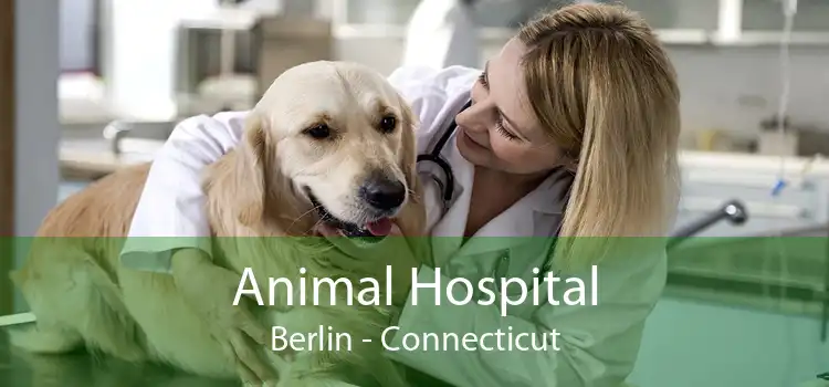Animal Hospital Berlin - Connecticut