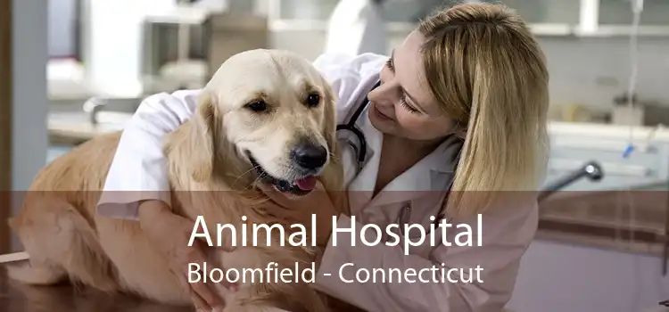 Animal Hospital Bloomfield - Connecticut