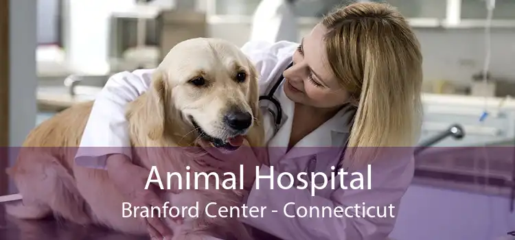 Animal Hospital Branford Center - Connecticut