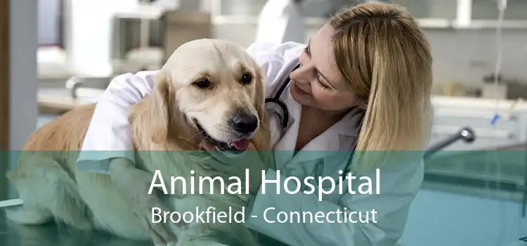 Animal Hospital Brookfield - Connecticut