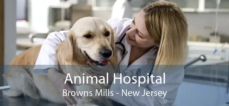 Animal Hospital Browns Mills - New Jersey