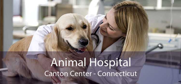 Animal Hospital Canton Center - Connecticut