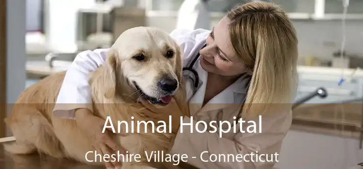 Animal Hospital Cheshire Village - Connecticut