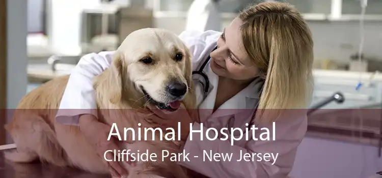 Animal Hospital Cliffside Park - New Jersey