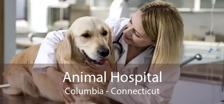 Animal Hospital Columbia - Connecticut