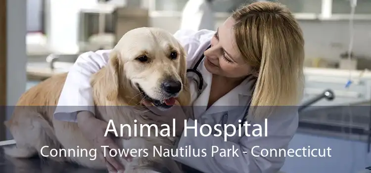 Animal Hospital Conning Towers Nautilus Park - Connecticut