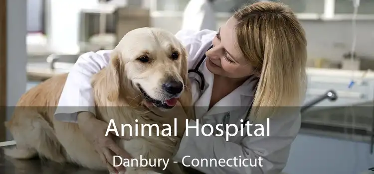 Animal Hospital Danbury - Connecticut