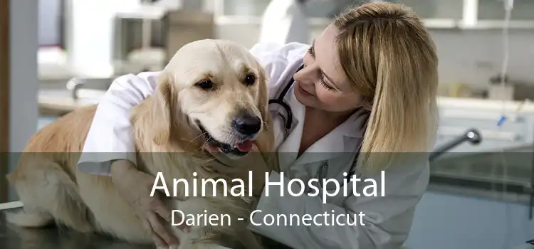 Animal Hospital Darien - Connecticut
