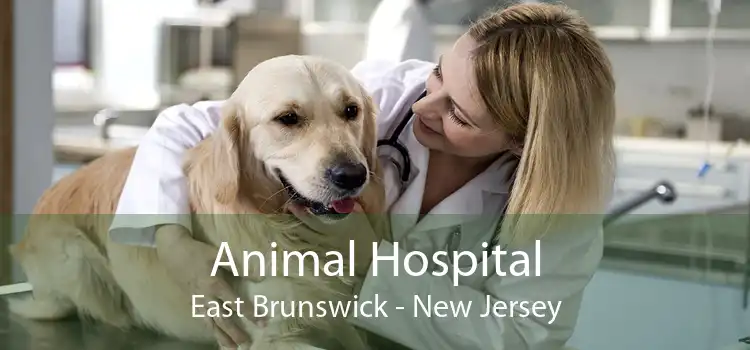 Animal Hospital East Brunswick - New Jersey