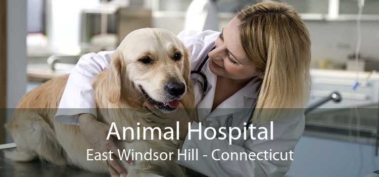 Animal Hospital East Windsor Hill - Connecticut