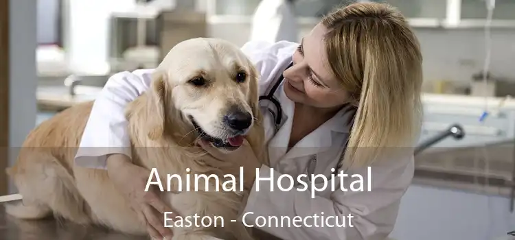 Animal Hospital Easton - Connecticut