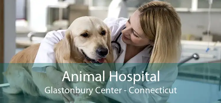 Animal Hospital Glastonbury Center - Connecticut