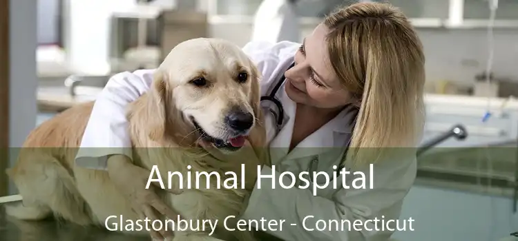 Animal Hospital Glastonbury Center - Connecticut