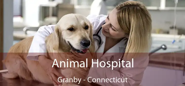 Animal Hospital Granby - Connecticut