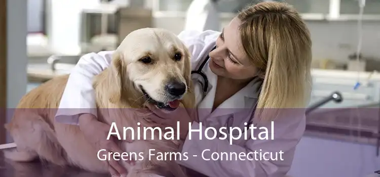 Animal Hospital Greens Farms - Connecticut