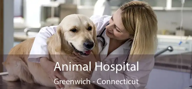 Animal Hospital Greenwich - Connecticut