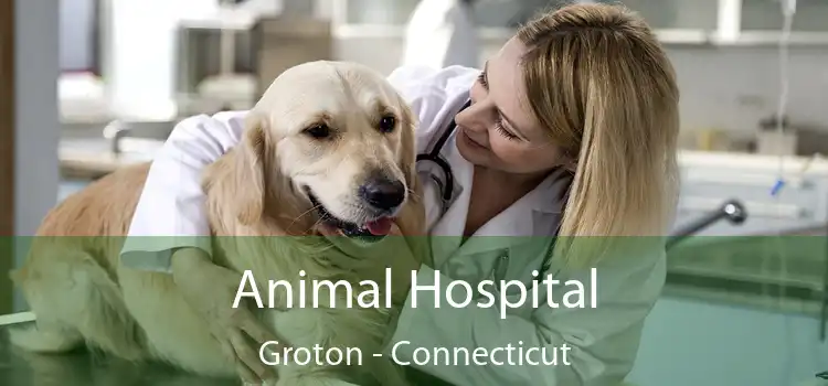 Animal Hospital Groton - Connecticut