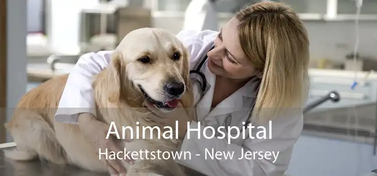 Animal Hospital Hackettstown - New Jersey