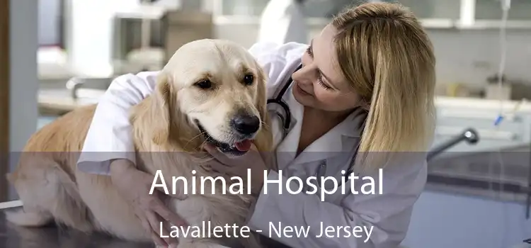 Animal Hospital Lavallette - New Jersey