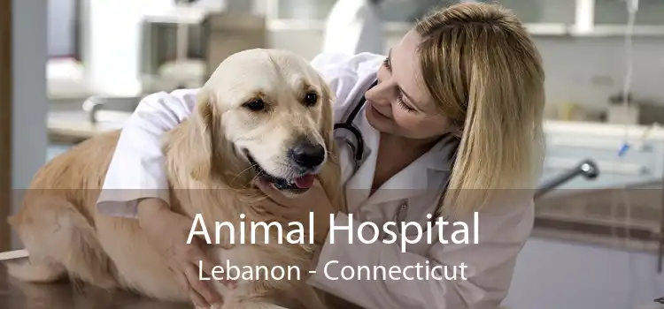 Animal Hospital Lebanon - Connecticut