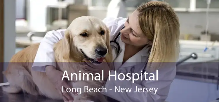 Animal Hospital Long Beach - New Jersey