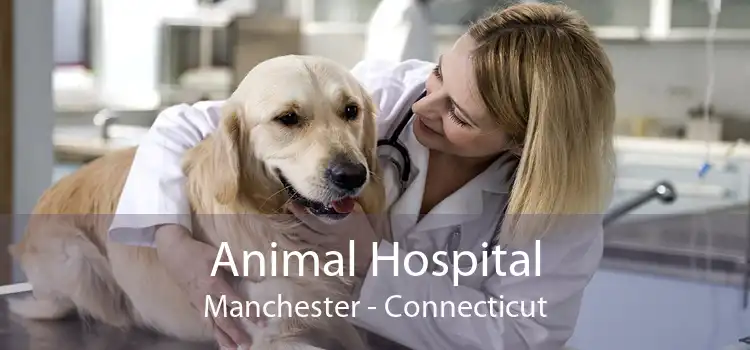 Animal Hospital Manchester - Connecticut