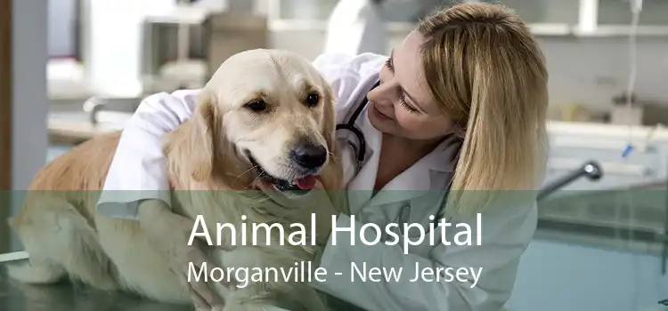 Animal Hospital Morganville - New Jersey
