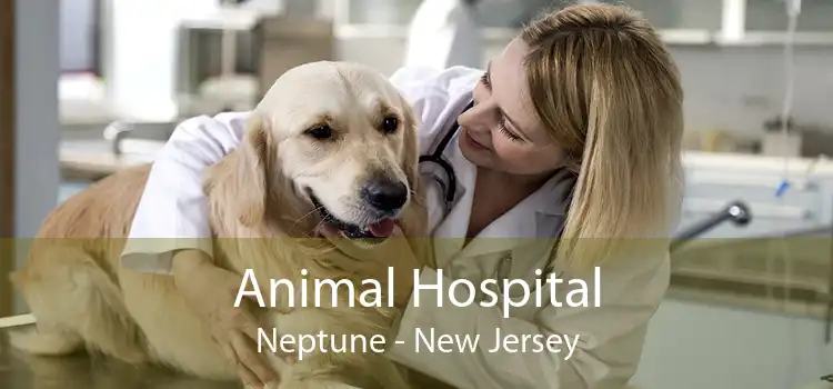 Animal Hospital Neptune - New Jersey