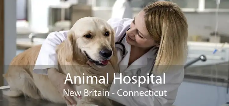 Animal Hospital New Britain - Connecticut