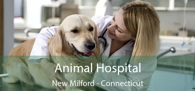 Animal Hospital New Milford - Connecticut