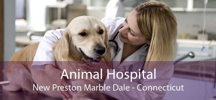 Animal Hospital New Preston Marble Dale - Connecticut