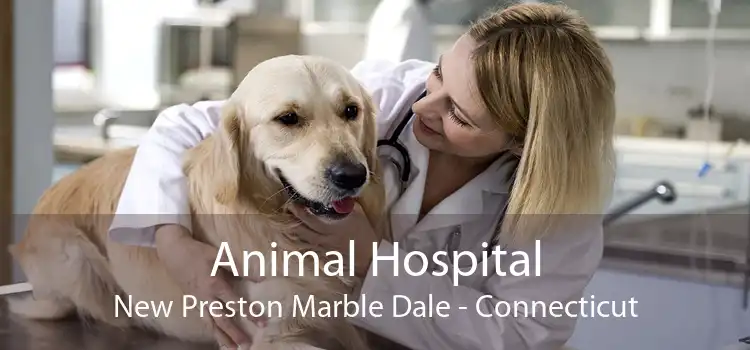 Animal Hospital New Preston Marble Dale - Connecticut