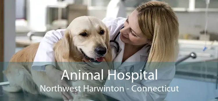 Animal Hospital Northwest Harwinton - Connecticut
