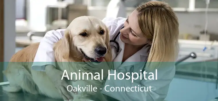 Animal Hospital Oakville - Connecticut