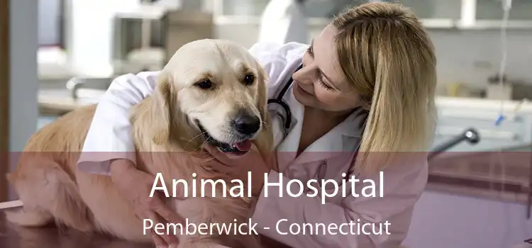 Animal Hospital Pemberwick - Connecticut