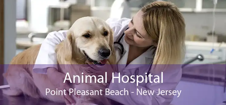 Animal Hospital Point Pleasant Beach - New Jersey