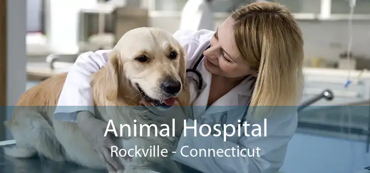 Animal Hospital Rockville - Connecticut