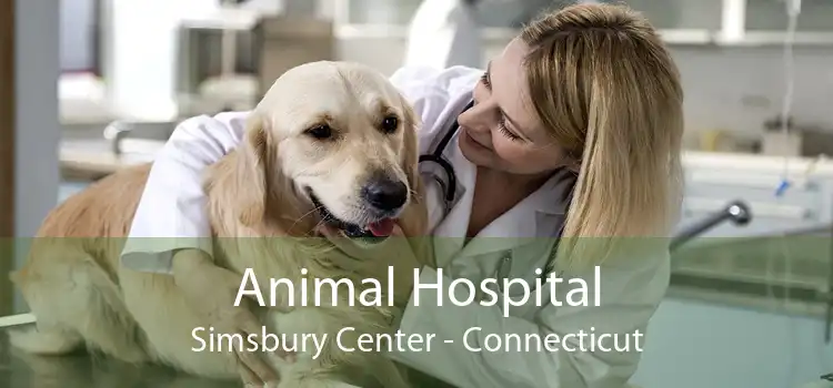Animal Hospital Simsbury Center - Connecticut