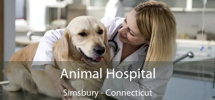 Animal Hospital Simsbury - Connecticut