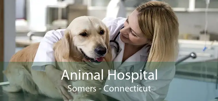 Animal Hospital Somers - Connecticut