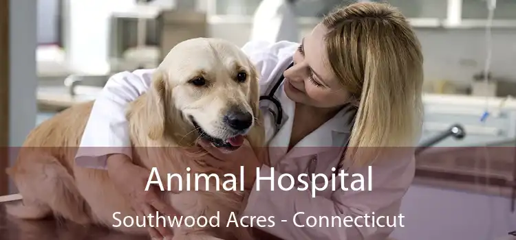Animal Hospital Southwood Acres - Connecticut