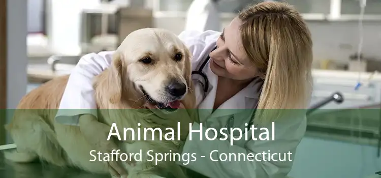 Animal Hospital Stafford Springs - Connecticut