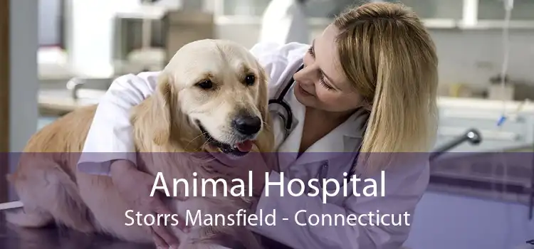Animal Hospital Storrs Mansfield - Connecticut