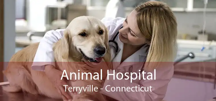 Animal Hospital Terryville - Connecticut