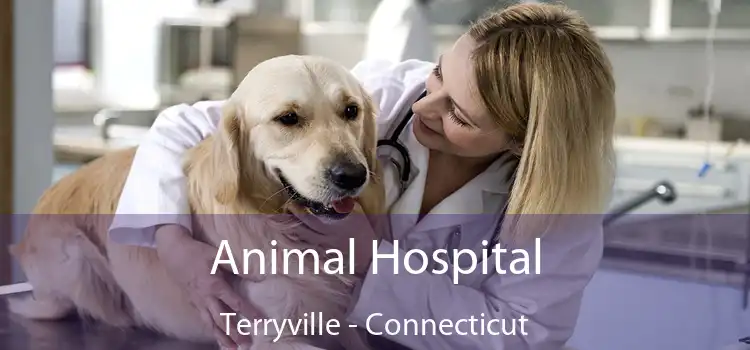 Animal Hospital Terryville - Connecticut