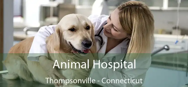 Animal Hospital Thompsonville - Connecticut