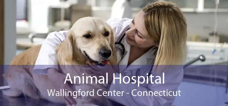 Animal Hospital Wallingford Center - Connecticut