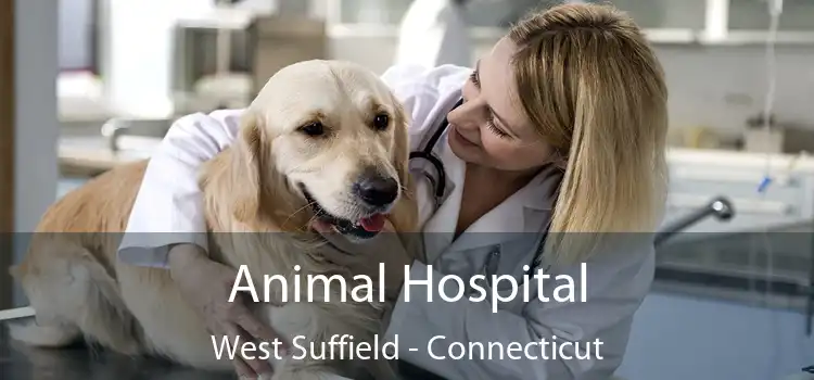 Animal Hospital West Suffield - Connecticut