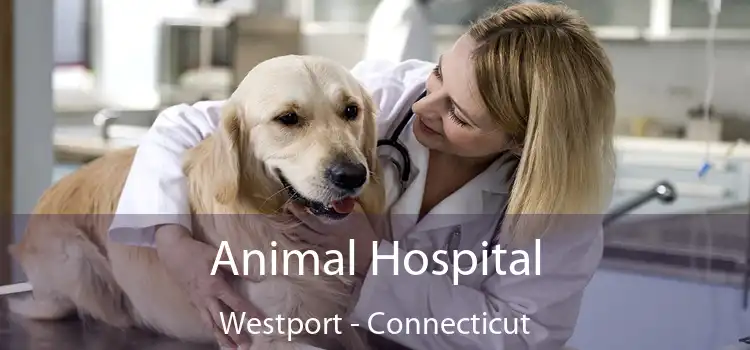 Animal Hospital Westport - Connecticut