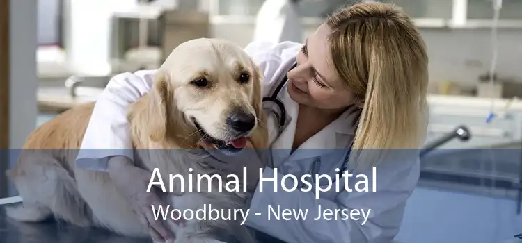 Animal Hospital Woodbury - New Jersey